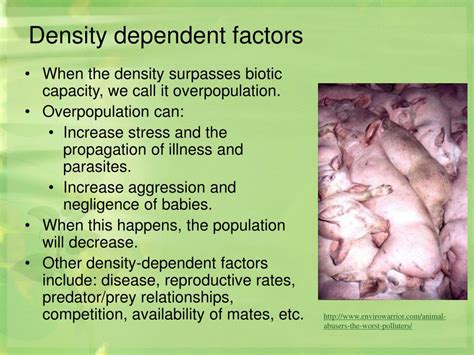 Ppt Population Ecology Powerpoint Presentation Free Download Id2970861