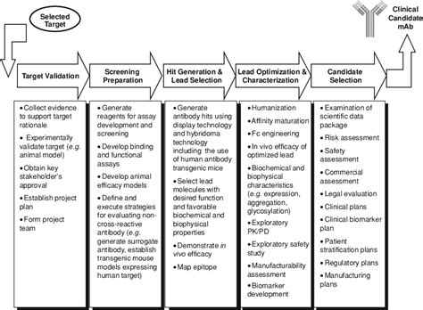 Antibody Drug Development Process