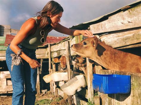 Thematic Tours Dairy Farm Experience