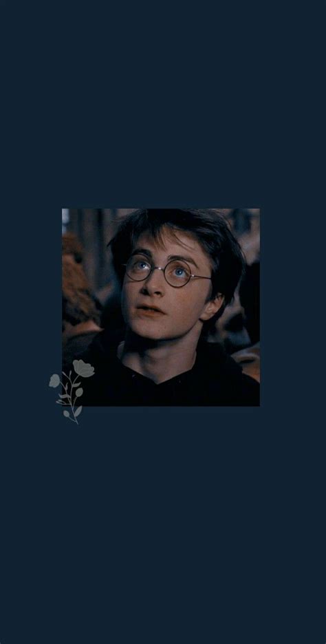 harry potter in glasses looking at the camera