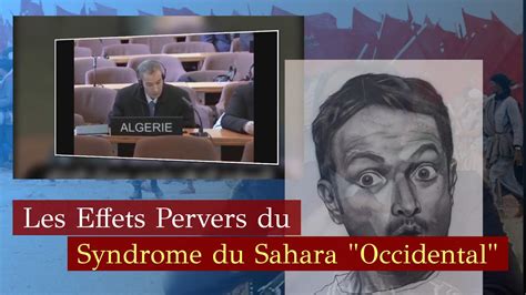 Sahara L Ambassadeur Marocain à lUnesco corrige le Représentant