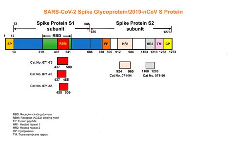 Here Are Some Available Tools And Molecules To Discover Treatments For