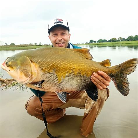 Amazon Jungle Fly Fishing Trip In Peru Go Fishing Peru