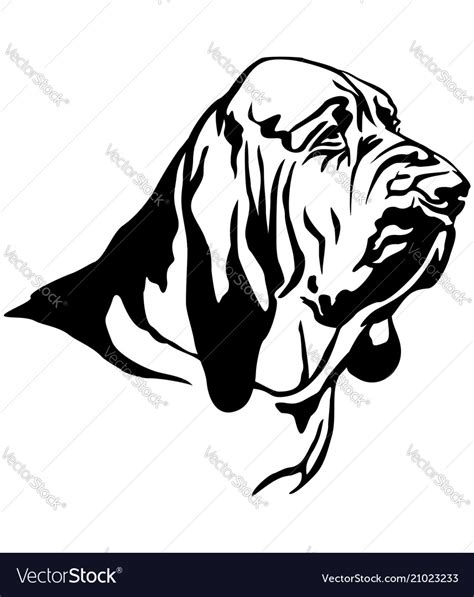 Decorative Portrait Of Bloodhound Royalty Free Vector Image