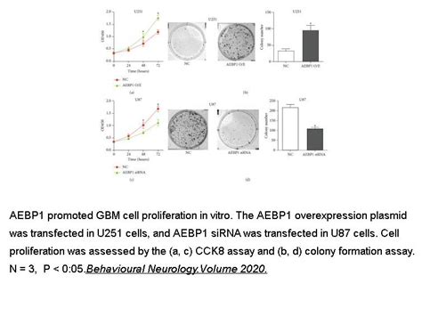 APExBIO - Cell Counting Kit-8 (CCK-8)