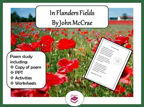 In Flanders Fields By John McCrae PPT Poem And Worksheets Teaching