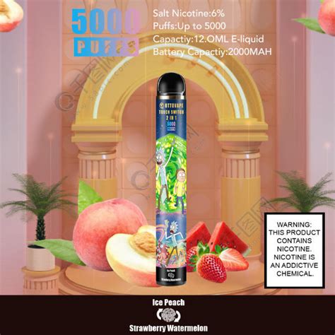 Touch Switch Disposable Vape 5000 Puffs OTTO Vape Best E Liquid Russia