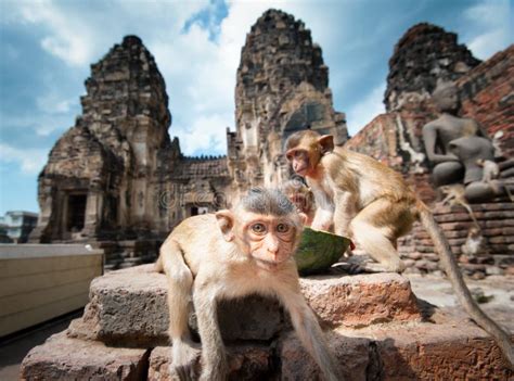 Lopburi Tajlandia 2 Listopada 2019 R Rynek W Mot Daeng Posągi Glin