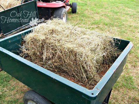 Baling Hay By Hand Oak Hill Homestead