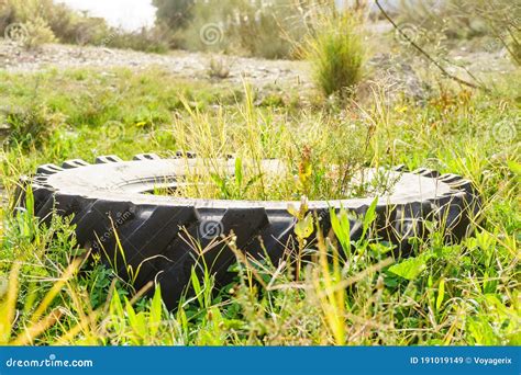 Destroyed Rubber Car Tire On Grass Stock Image Image Of Ecology