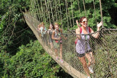 Lake Manyara Treetop Walkway Lake Manyara National Park Tanzania