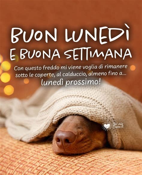 Buon Luned Gennaio Frasi Immagini Nuove Del Buongiorno