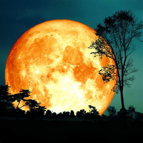 Super Blue Moon Spiritual Ritual Insight State