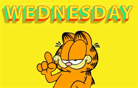 Wednesday : r/garfield