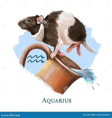 Aquarius Creative Digital Illustration Of Astrological Sign Rat Sor