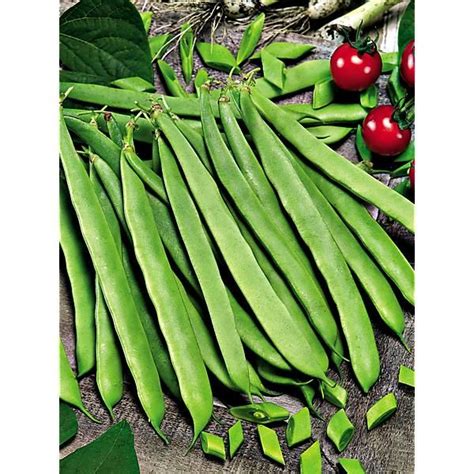 Haricot Nain Filet Mangetout Soliman Graines Baumaux