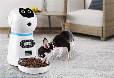 Comederos automáticos para perros y gatos cuál es la mejor opción