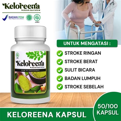 Jual Obat Stroke Berat Stroke Ringan Penyumbatan Darah Di Otak