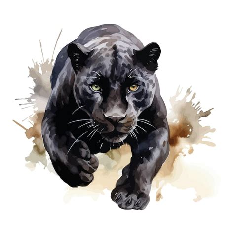 Premium Vector Cartoon Black Panther Stalking In Watercolor Painting