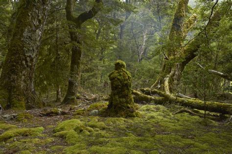 swissmiss | Sculptures in Nature