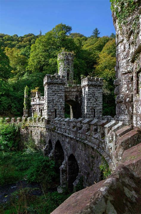 Medieval Castle in a Lush Green Forest