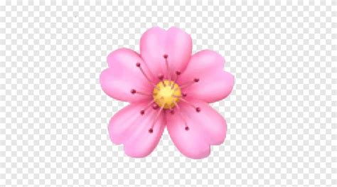 Pink Flower Aesthetic Wallpaper