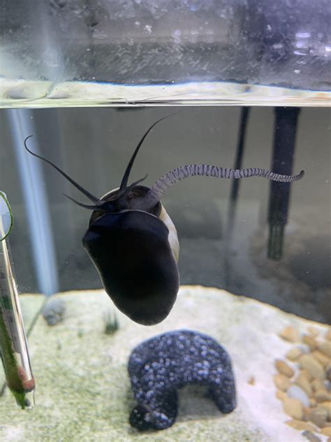 Traci Callahan : r/HottestFemaleAthletes