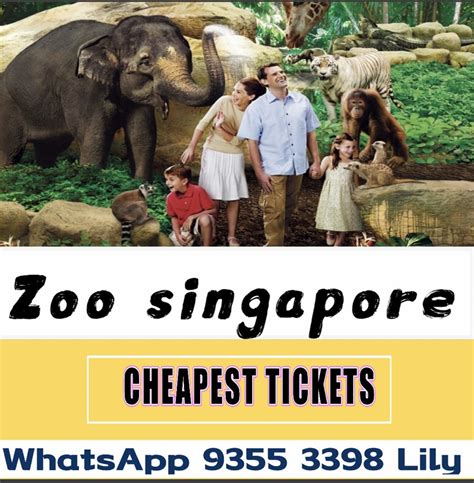 Singapore zoo night Safari, Tickets & Vouchers, Local Attractions & Transport on Carousell