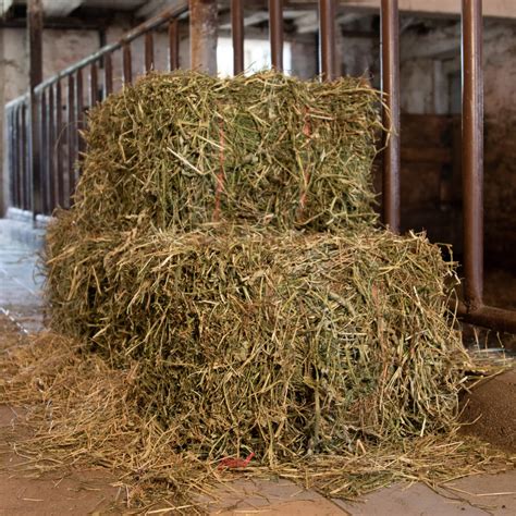 Hay Bales For Sale Double J Farms