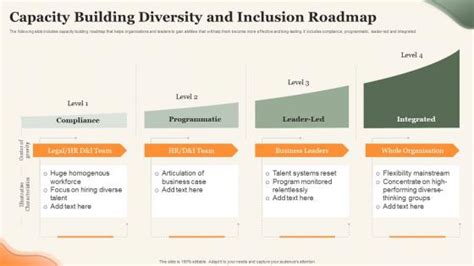 Diversity Roadmap Slide Team