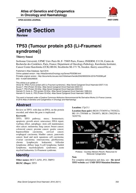 Pdf Tp Tumour Protein P Li Fraumeni Syndrome