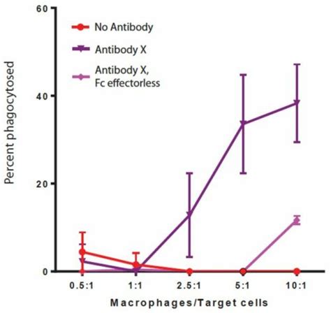 Antibody Dependent Cellular Phagocytosis ADCP Assay IQ Biosciences