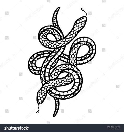 Snake Doodle Illustration Traditional Tattoo Vector Stock Vector