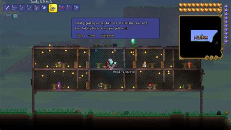 Terraria Shampoo at Michelle Ma blog