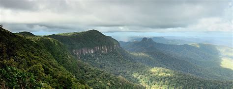 Identifying climate change information needs for Gondwana Rainforests ...