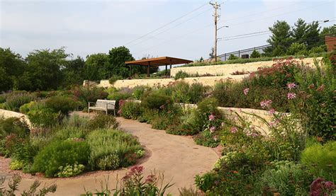 Hillside Waterwise Ada Snyder Associates Engineers And Planners