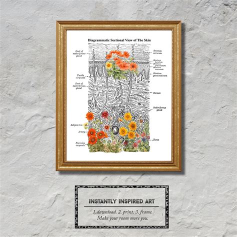 Dermatology Floral Anatomy Skin Printable Art Digital Etsy