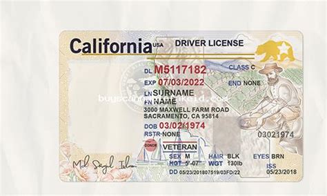 Nevada Drivers License Fake Scannable Scannable Fake Id Buy Best