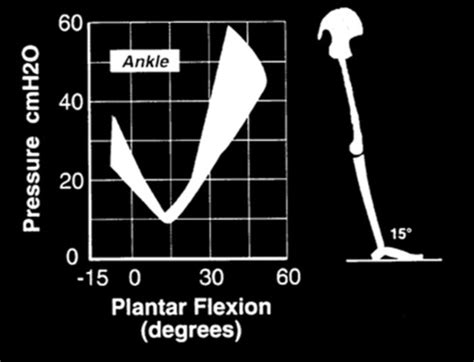 Pathological Gait Foot And Ankle Sagittal And Frontal Plane