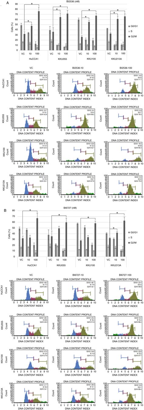 Plk Inhibition Leads To Mitotic Arrest And Triggers Apoptosis In