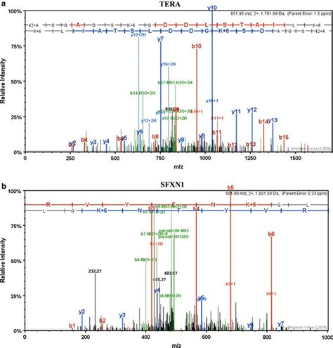 Msms Fragmentation Spectrum Identified The Peptide Of Download Scientific Diagram