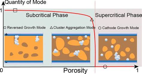 Computational Study On Filament Growth Dynamics In Microstructure