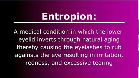 Watch an Entropion Surgery