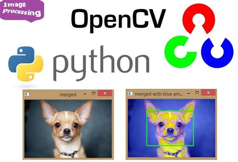 Opencv Python Image Processing Tutorial Opencv Image Processing