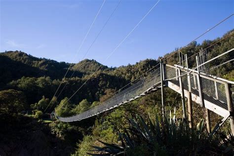 Buller Gorge Swing Bridge, Heritage and Adventure Park - Visit Murchison NZ