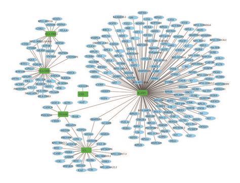 The Protein Protein Interaction Networks Of Degs Involved In The