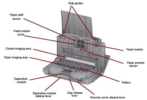 Parts Of A Printer Scanner At Alvin Cantwell Blog