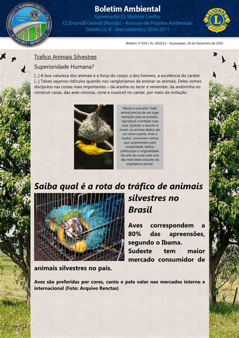 PDF Saiba qual é a rota do tráfico de animais silvestres no Brasil