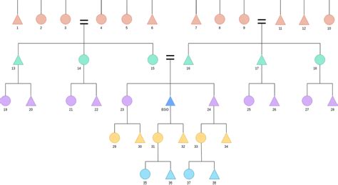 Online Kinship Diagram Software