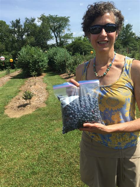 pick   farms walter reeves  georgia gardener